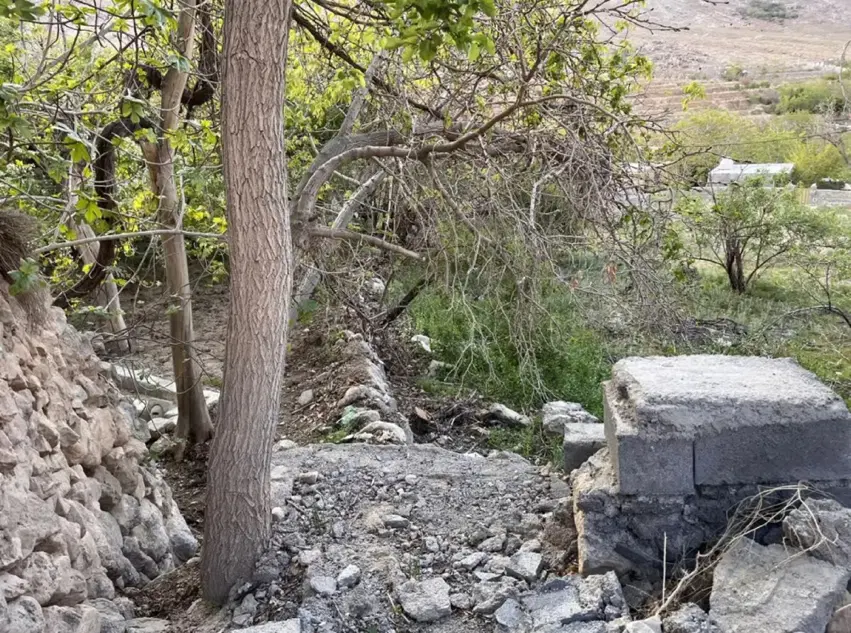 باغ بنادک سادات