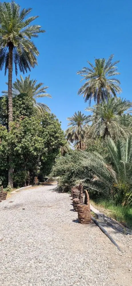 فروش زمین سرکم بهمنی