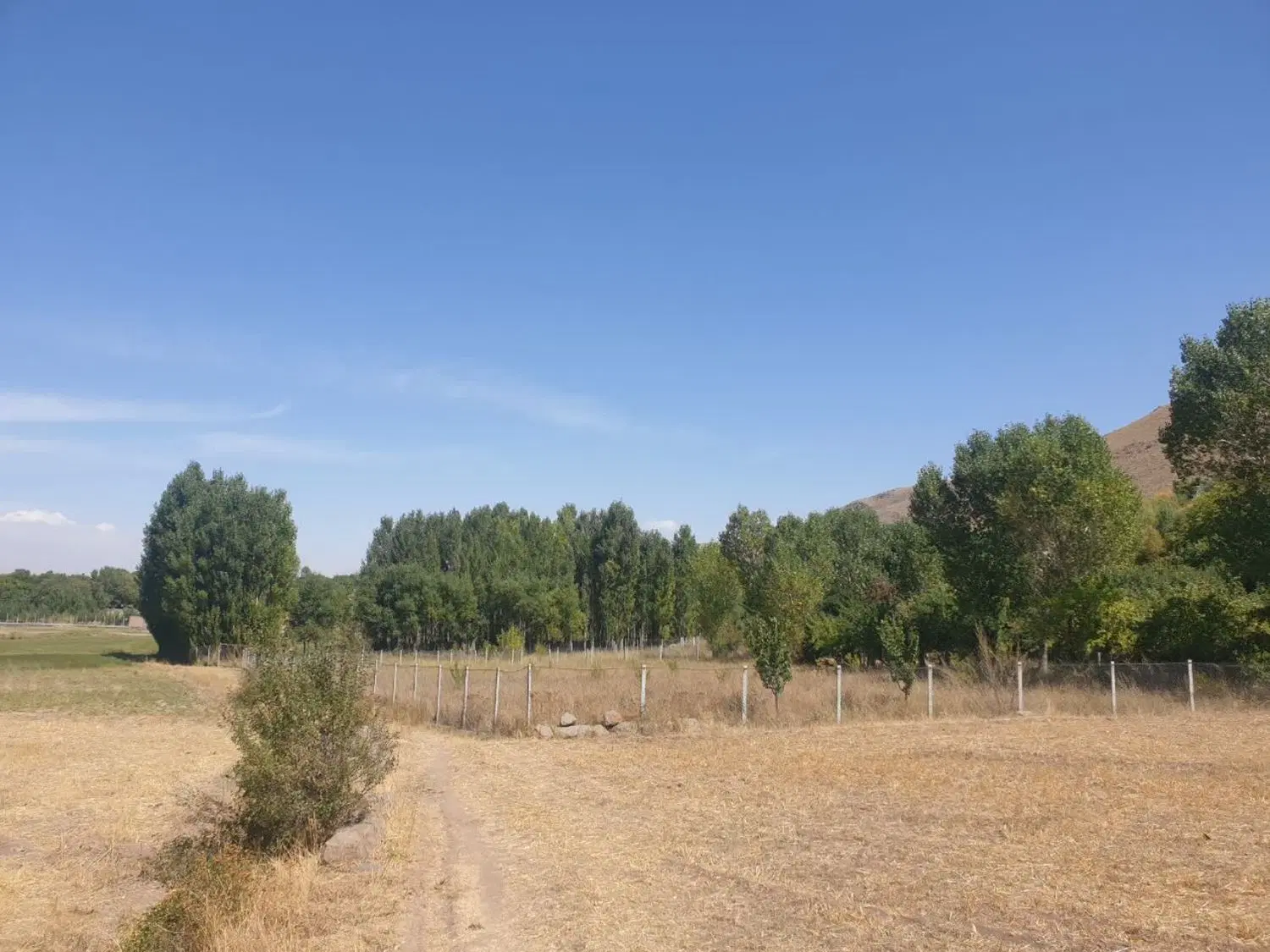 فروش دو قطعه باغ فنس کشی شده در روستای اردها