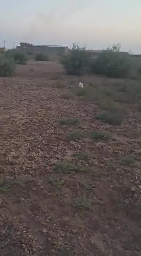 زمین ۶۰۰متر در محمد آباد علا
