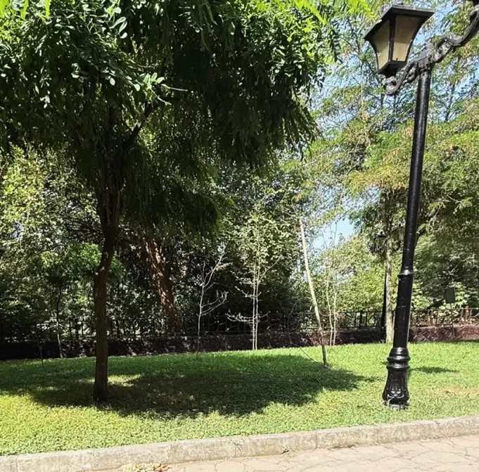 فروش زمین در تاپ ترین لوکیشن گلسار