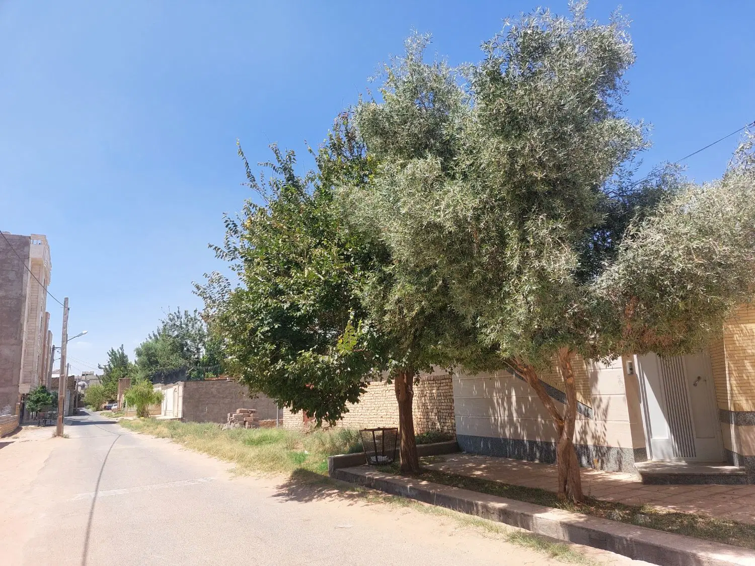 ۶۷۵مترزمین جمهوری(یاسمن)