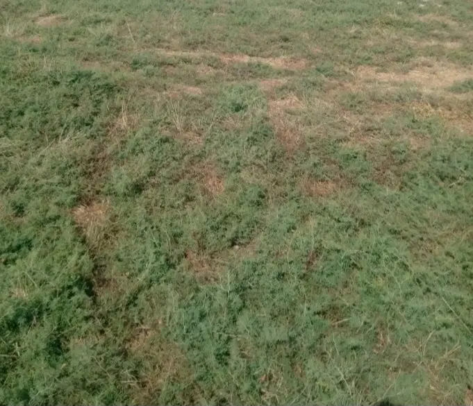 زمین مسکونی در روستایی سعد آباد فندرسک