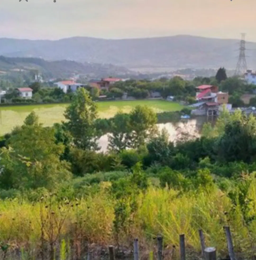 فروش زمین ۱۱۰۰متری باغی ویوودار در روستای واردمحله