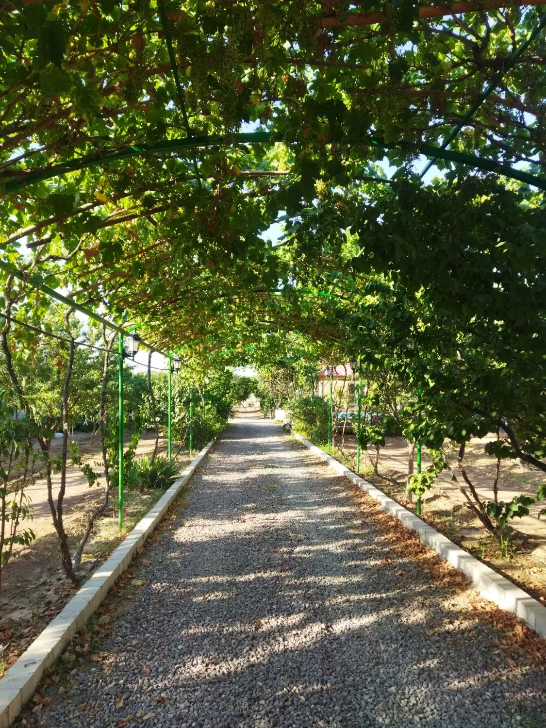 باغ ویلا