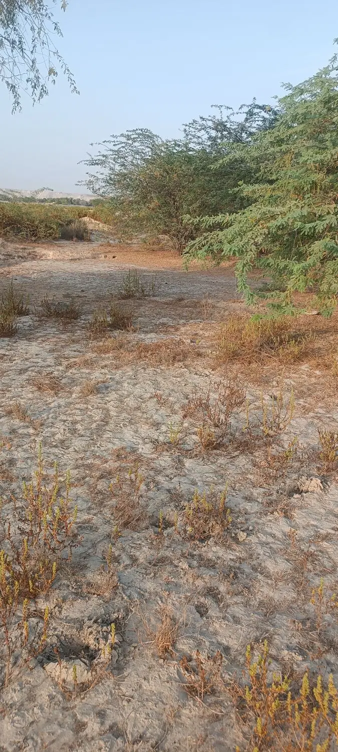 زمین ویلایی
