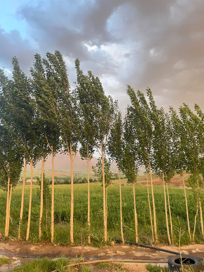 فروش زمین