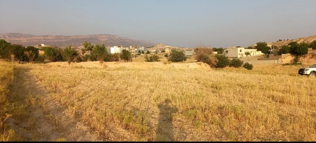 زمین کشاورزی