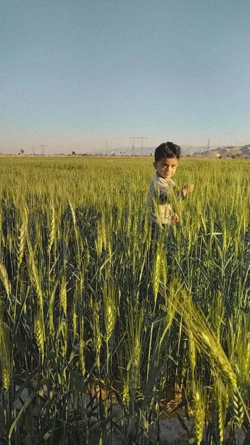 فروش زمین در جنوب ارودان نزدیک دبیرستان زینبیه