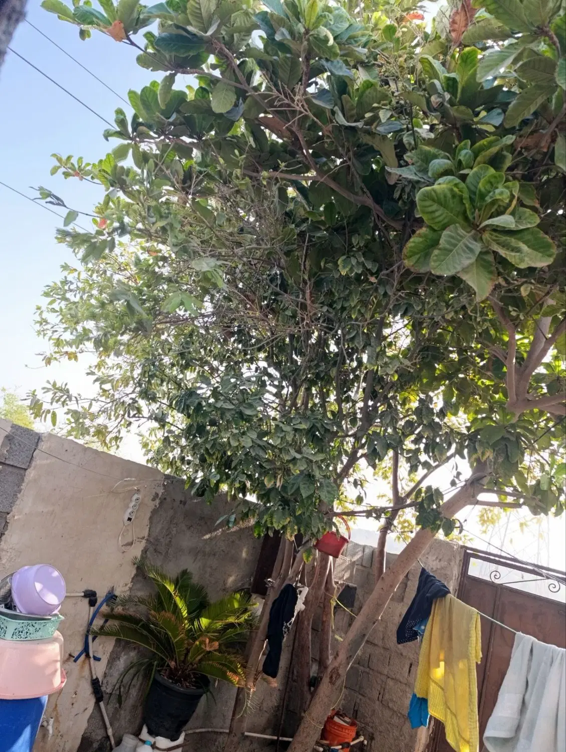 خانه به فروش میرسد