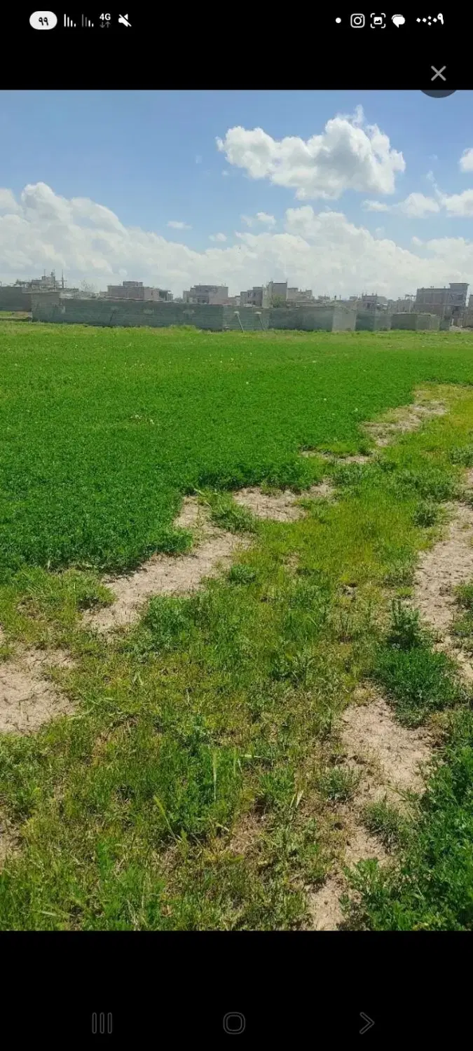 فروش زمین کشاورزی شبیلو
