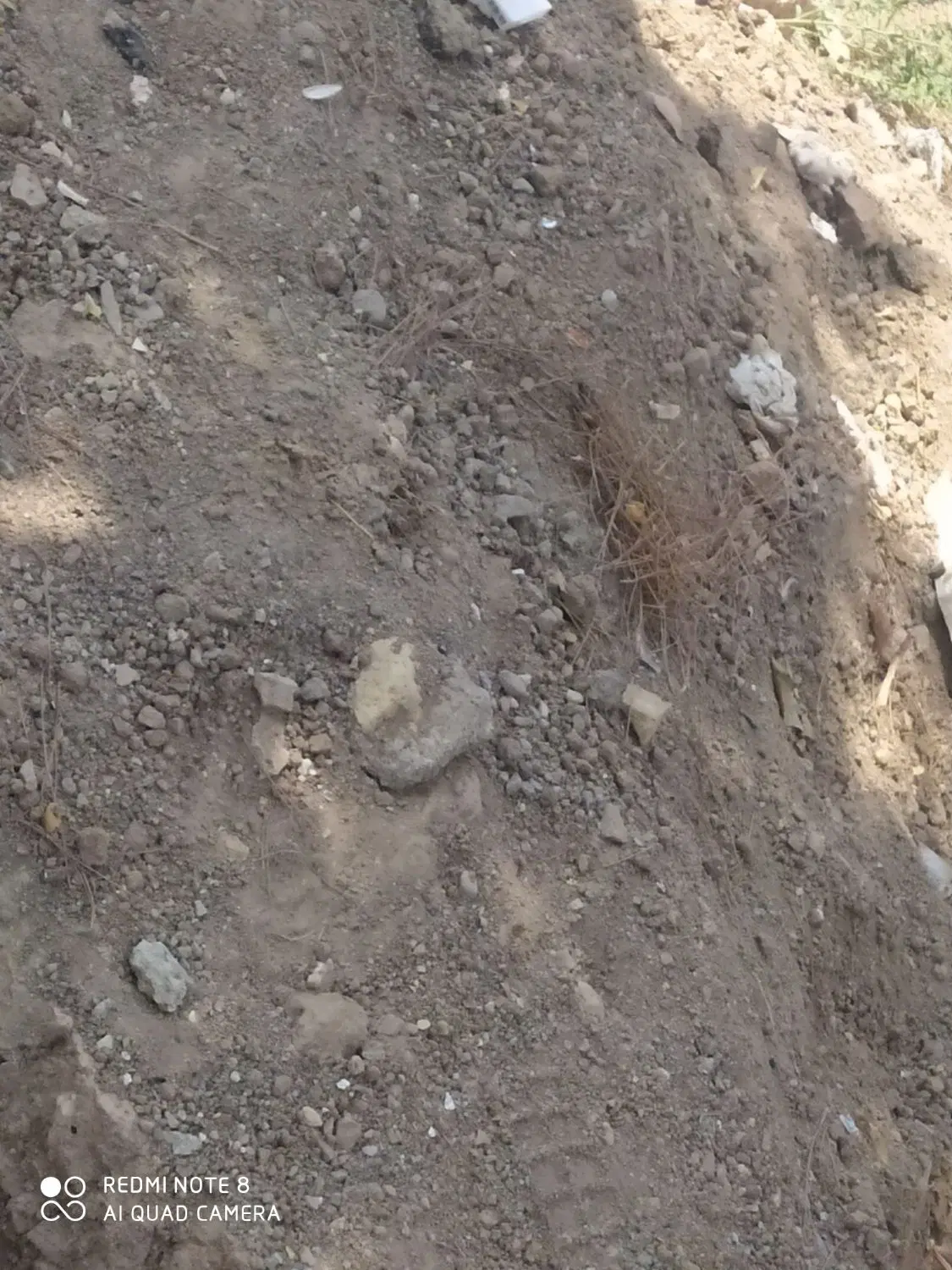 زمین  راهنمایی 6