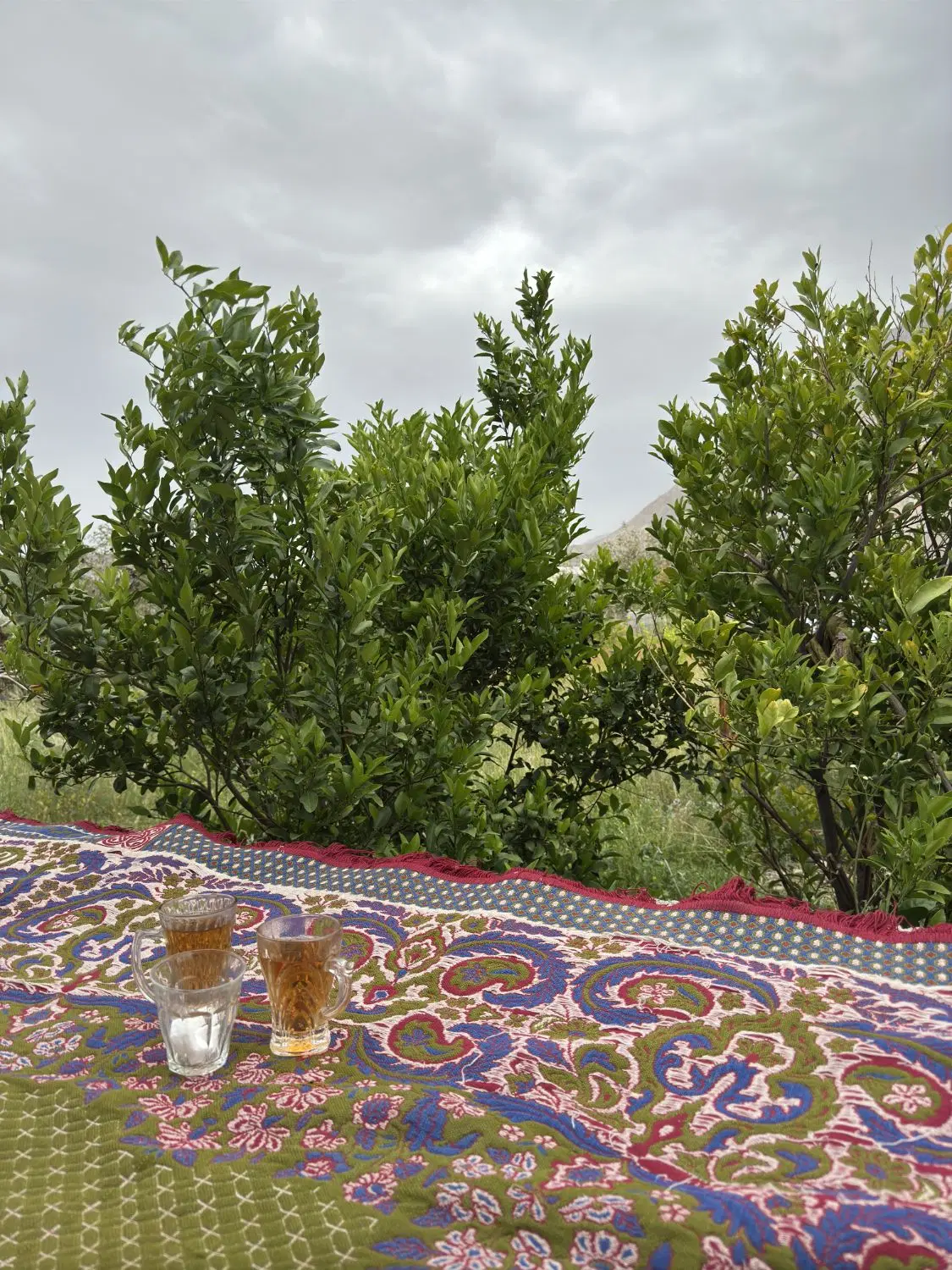 خانه باغ در درگز