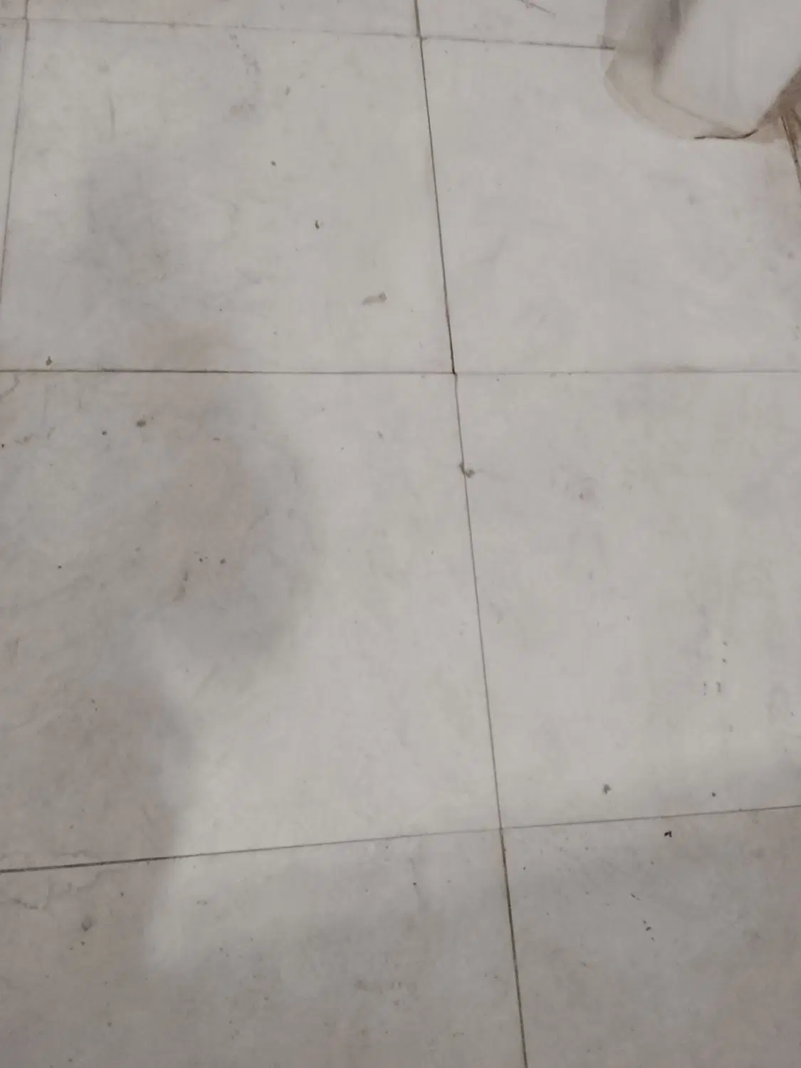 مغازه اجاره
