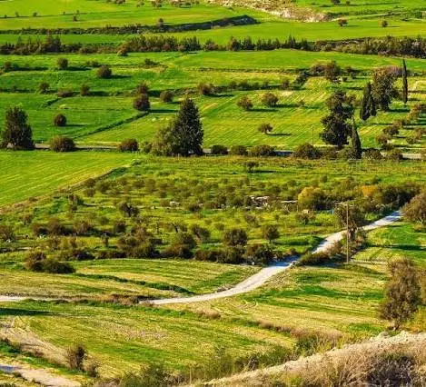 فروش زمین ازادگان 3