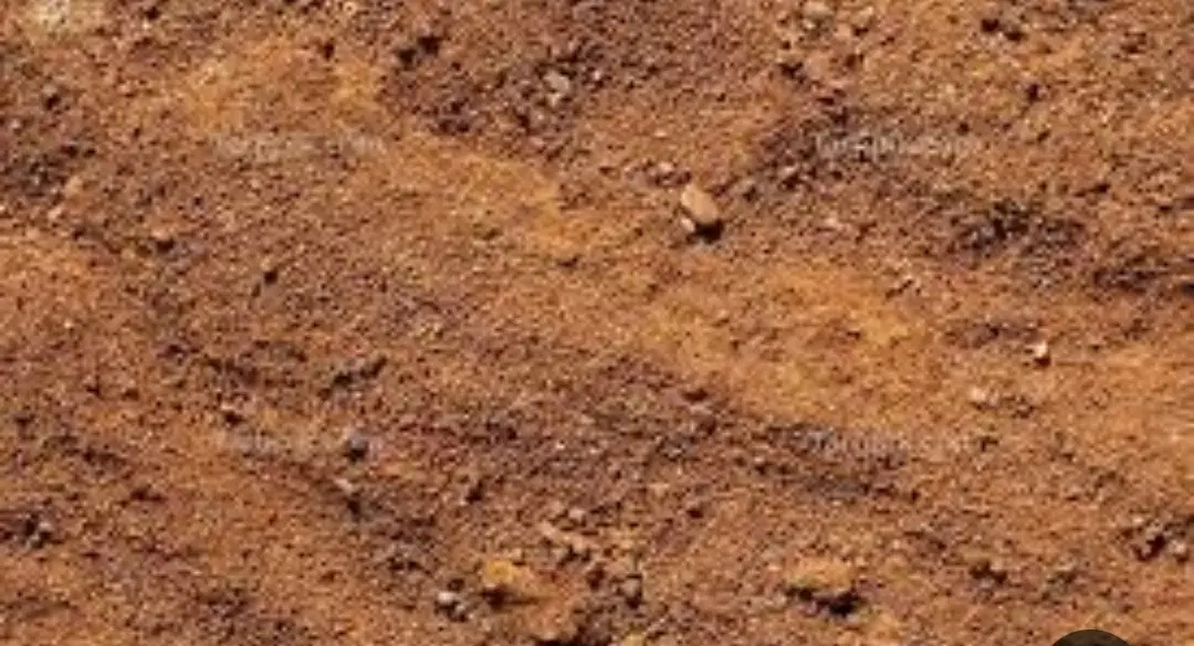 زمین1550 متری در صوفیان