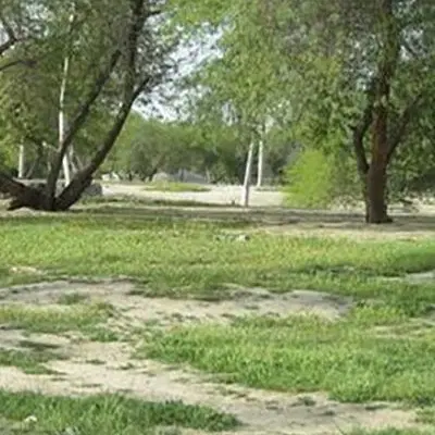 زمین روستای عامری