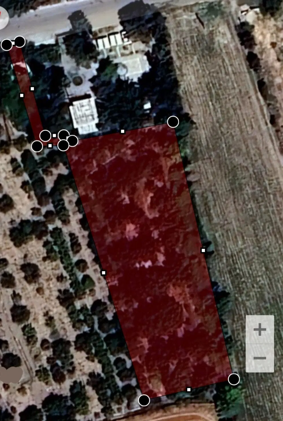 فروش باغ دیوار کشی شده روستای حشمت آباد