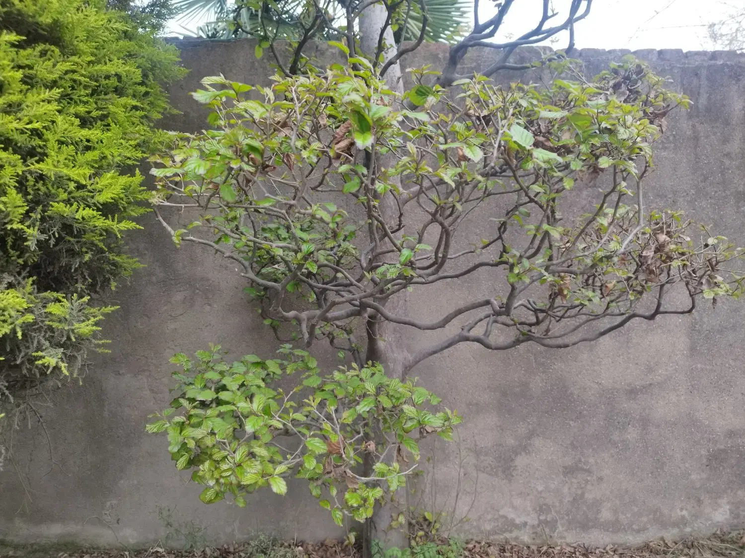 240مترزمین مسکونی حریم راه آهن آزادی87
