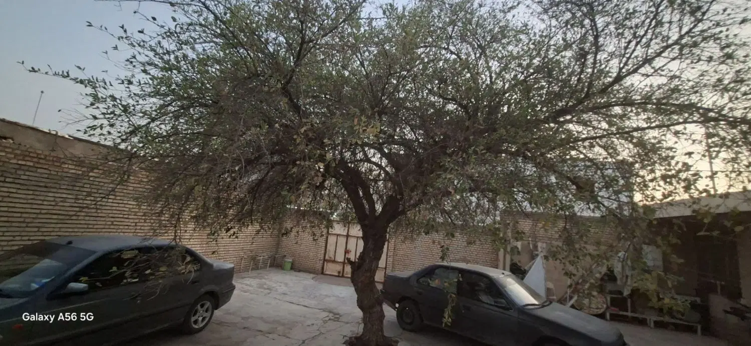 فروش خانه ویلایی