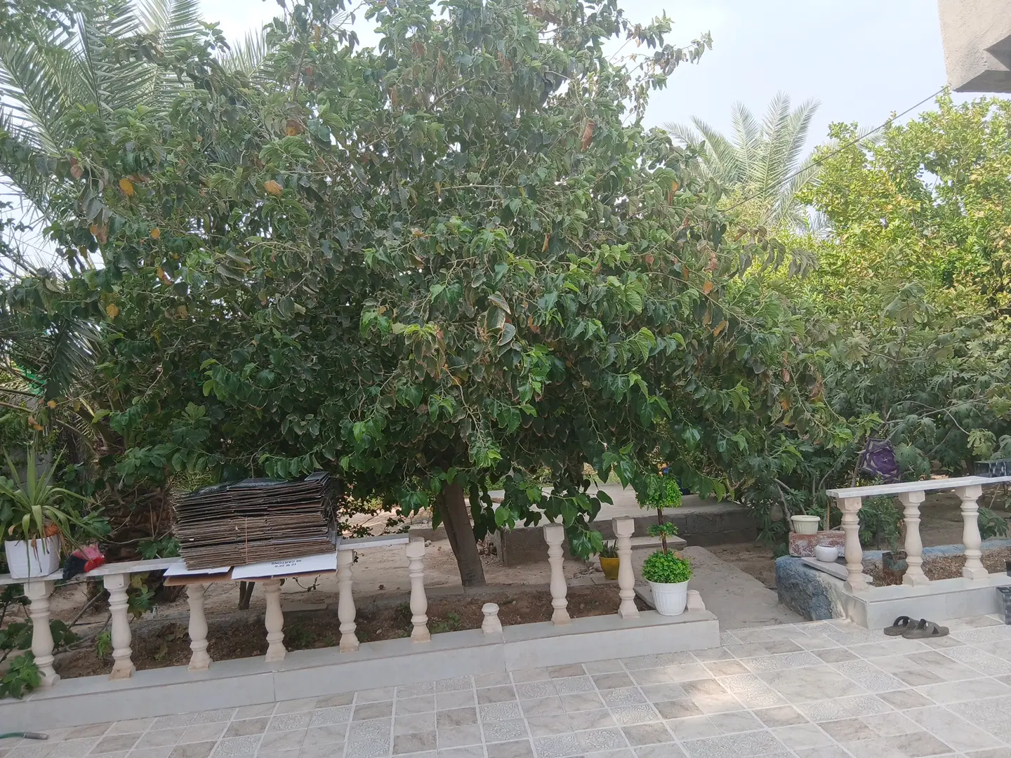 فروش زمین مسکونی