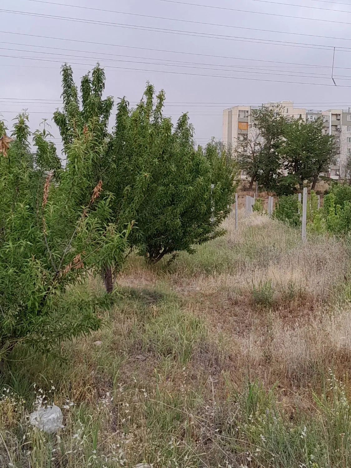 فروش چند قطعه باغچه ۴۷۰ و۴۷۵ متری درمهرگان قزوین