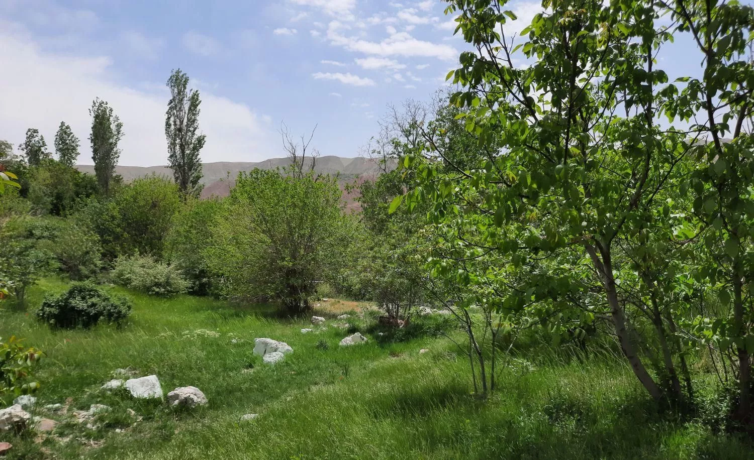 باغچه۶۵۰ متری دماوند دهستان مراء سند تک برگ