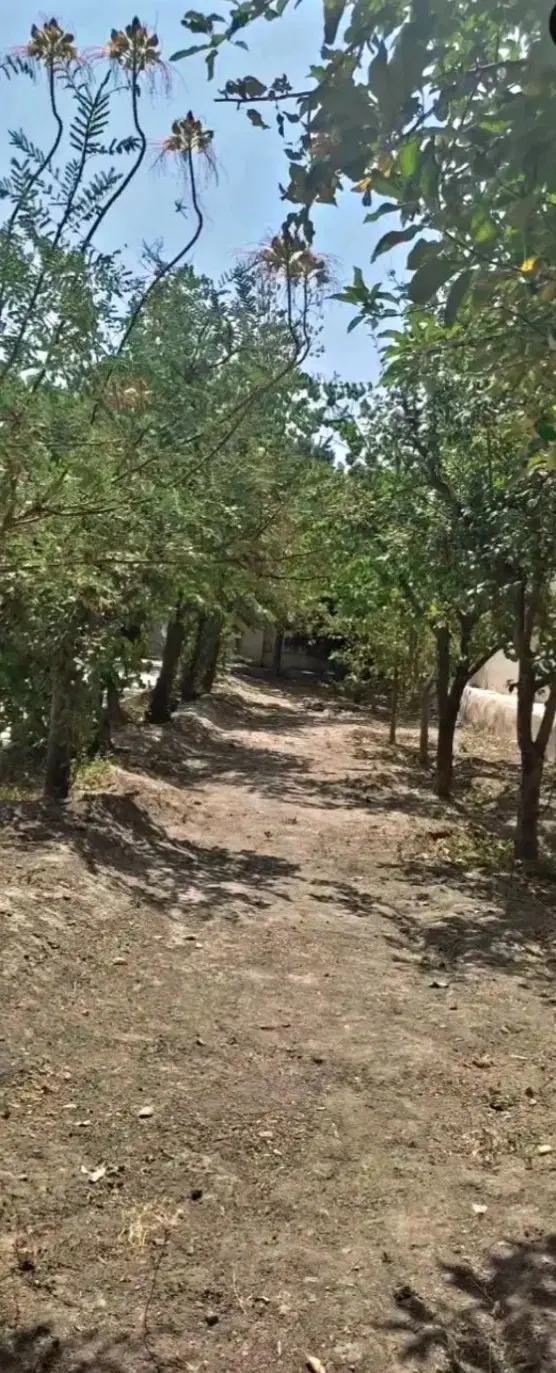 باغ ویلا عسگریه