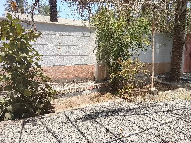 خیابان 22 بهمن کوچه 24