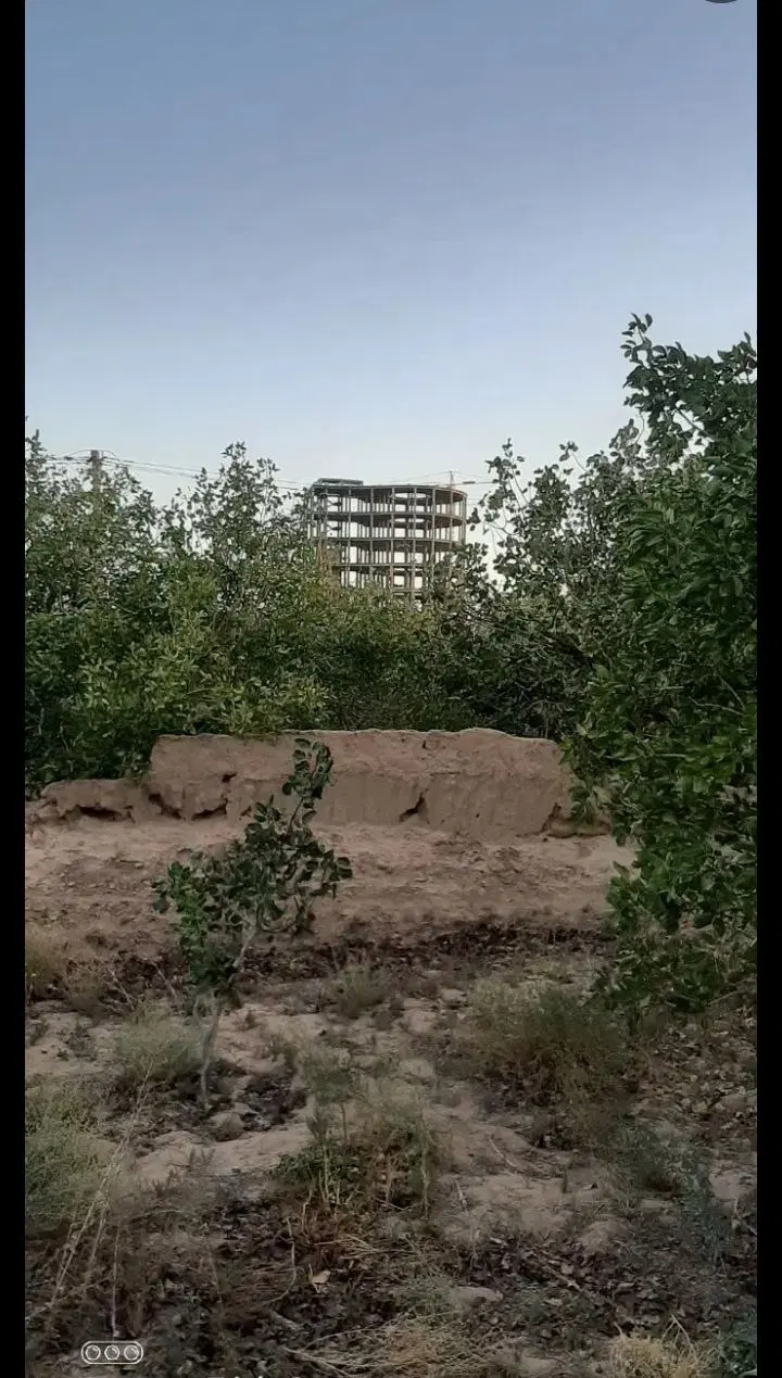 زمین کشاورزی پشت کبابی چادرملو