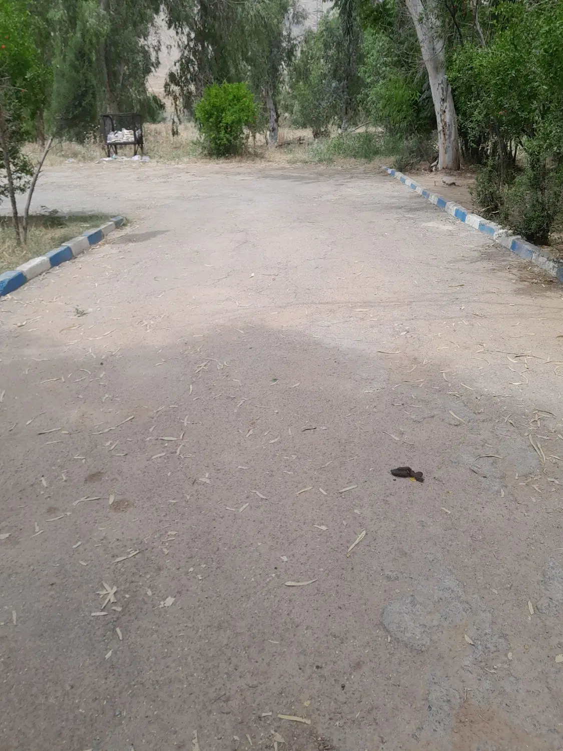 زمین شهرک دادگستری
