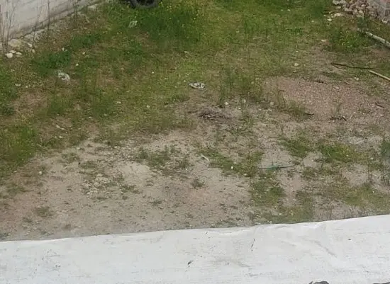 زمین مسکونی در روستای رواسجان