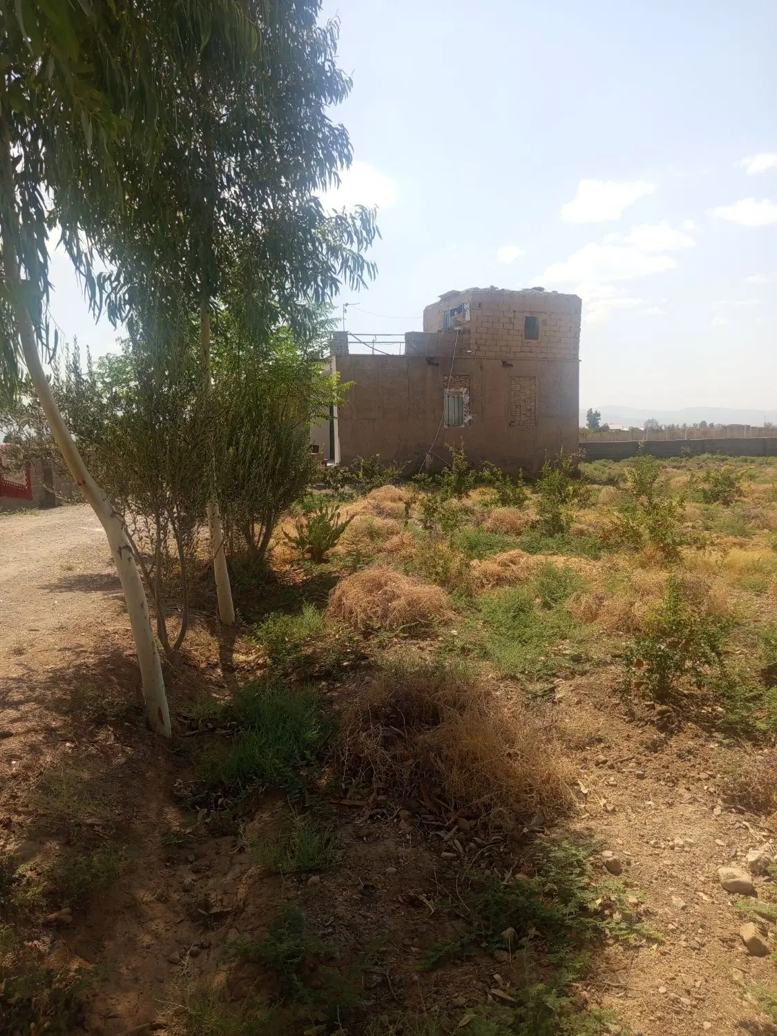 ویلا باغ