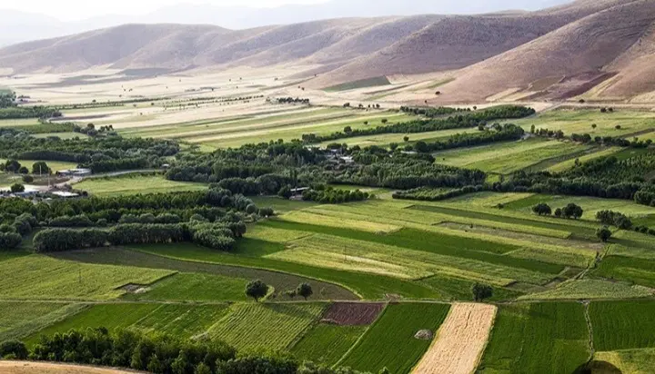 زمین کشاورزی