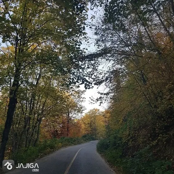 ۳۱۹متر زمین افراتخته
