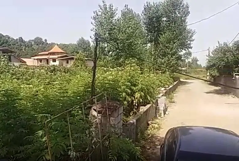 زمین فروشی در رشت و در واجارگاه
