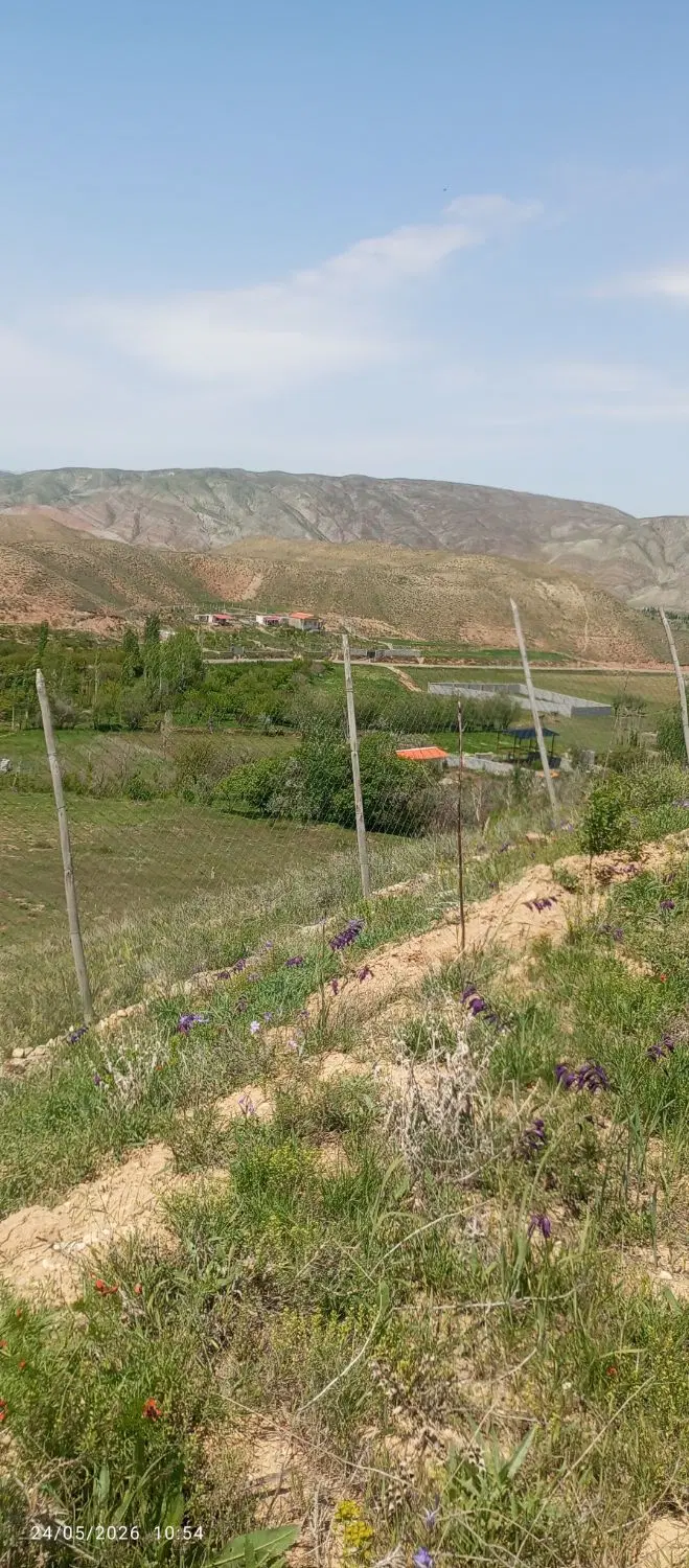 یک باغ در اسپیران