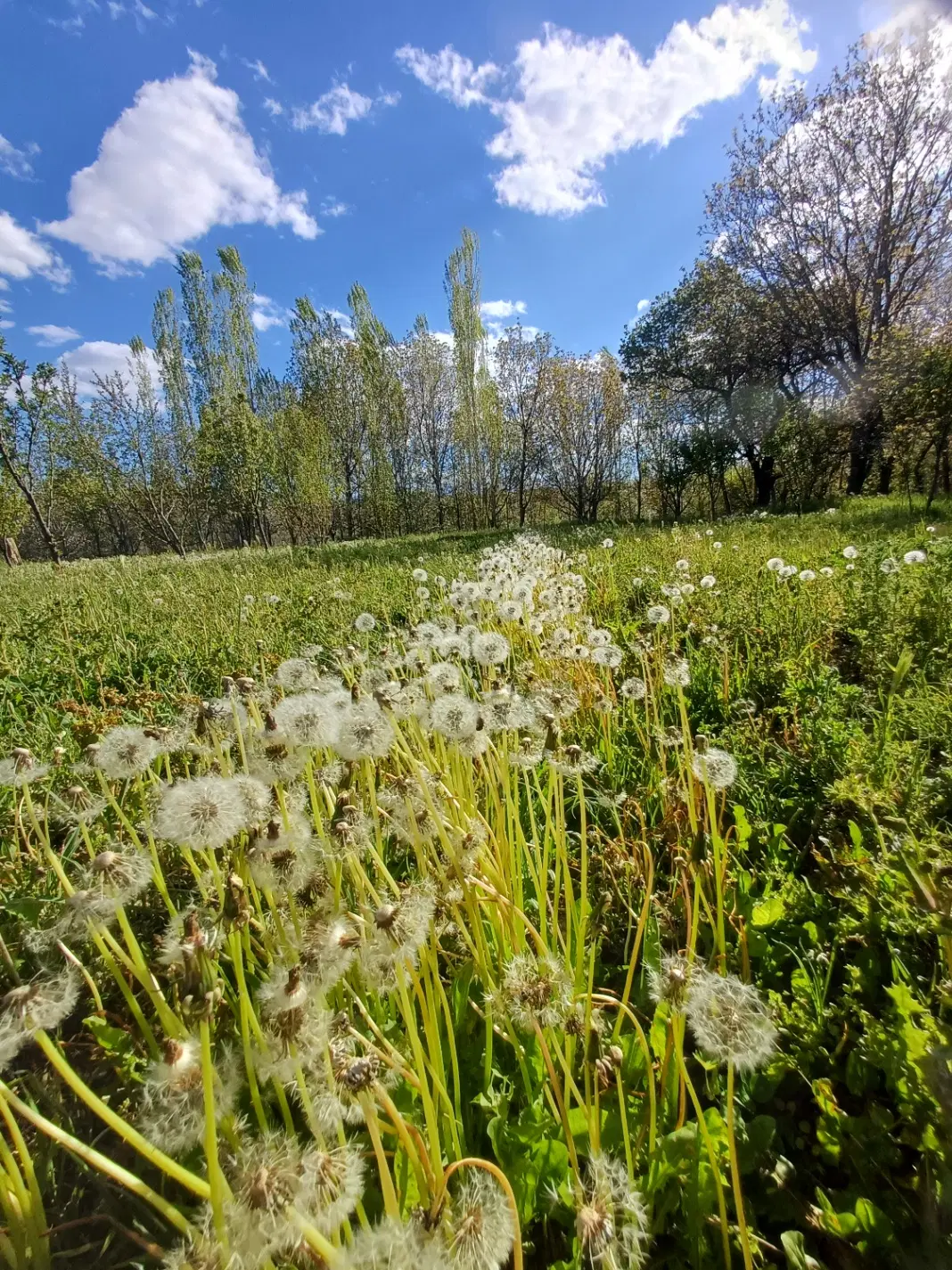 زمین روستای شهرستان