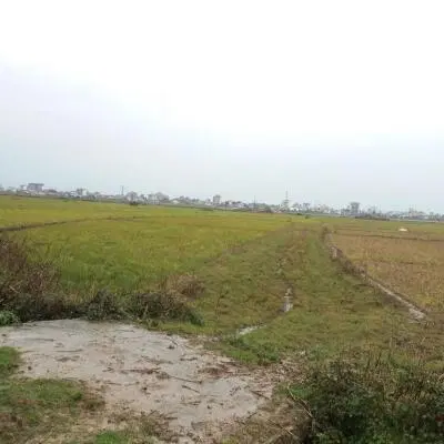 زمین شهرک کوثر
