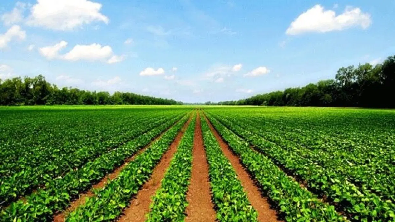 زمین آبی کشاورزی