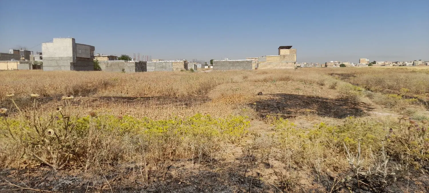 زمین شهرک صدف
