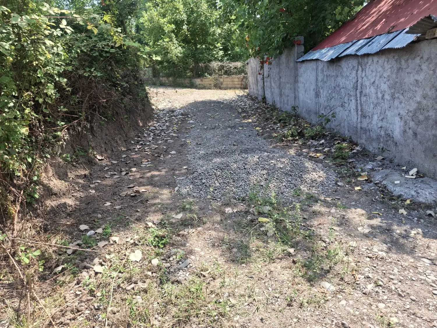 ۴۵۰ متر زمین باغی روستای قاضیان
