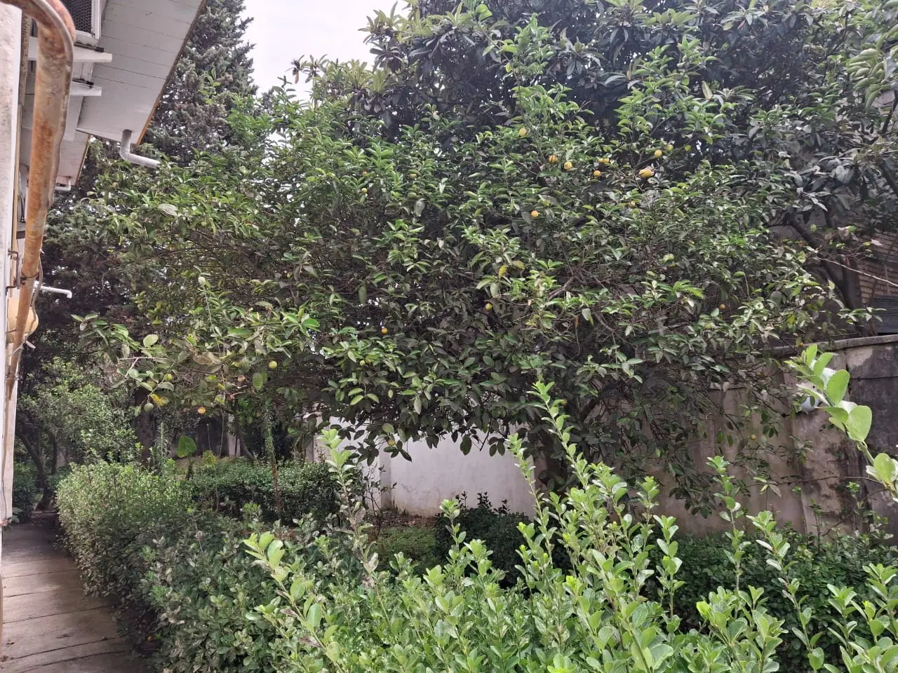 رهن دو خوابه یه خواب مستر