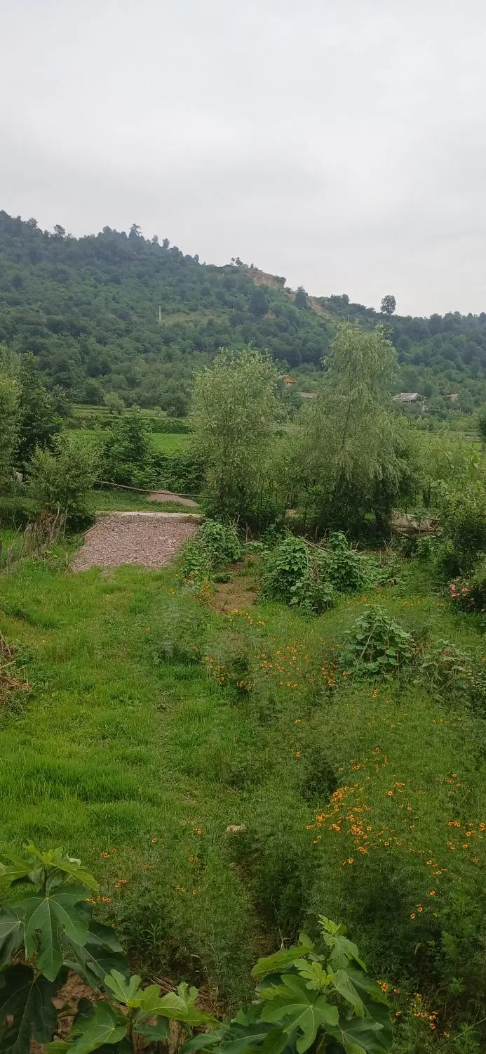 ویلایی دوبلکس دوخواب دربست