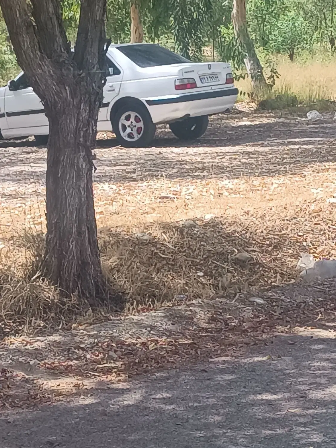 زمین مزار شهیداباد