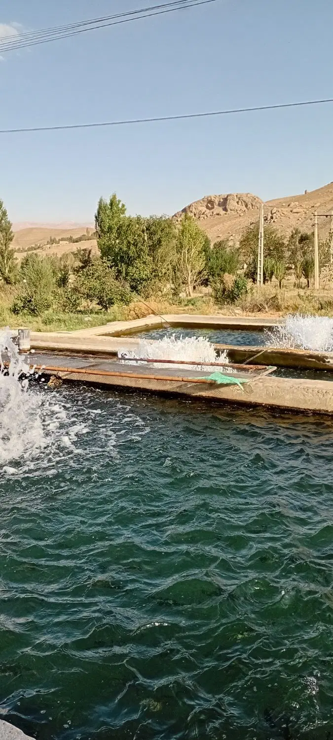ویلا با پرورش ماهی ۴۴۰۰مترسند تک برگ باغ گردو