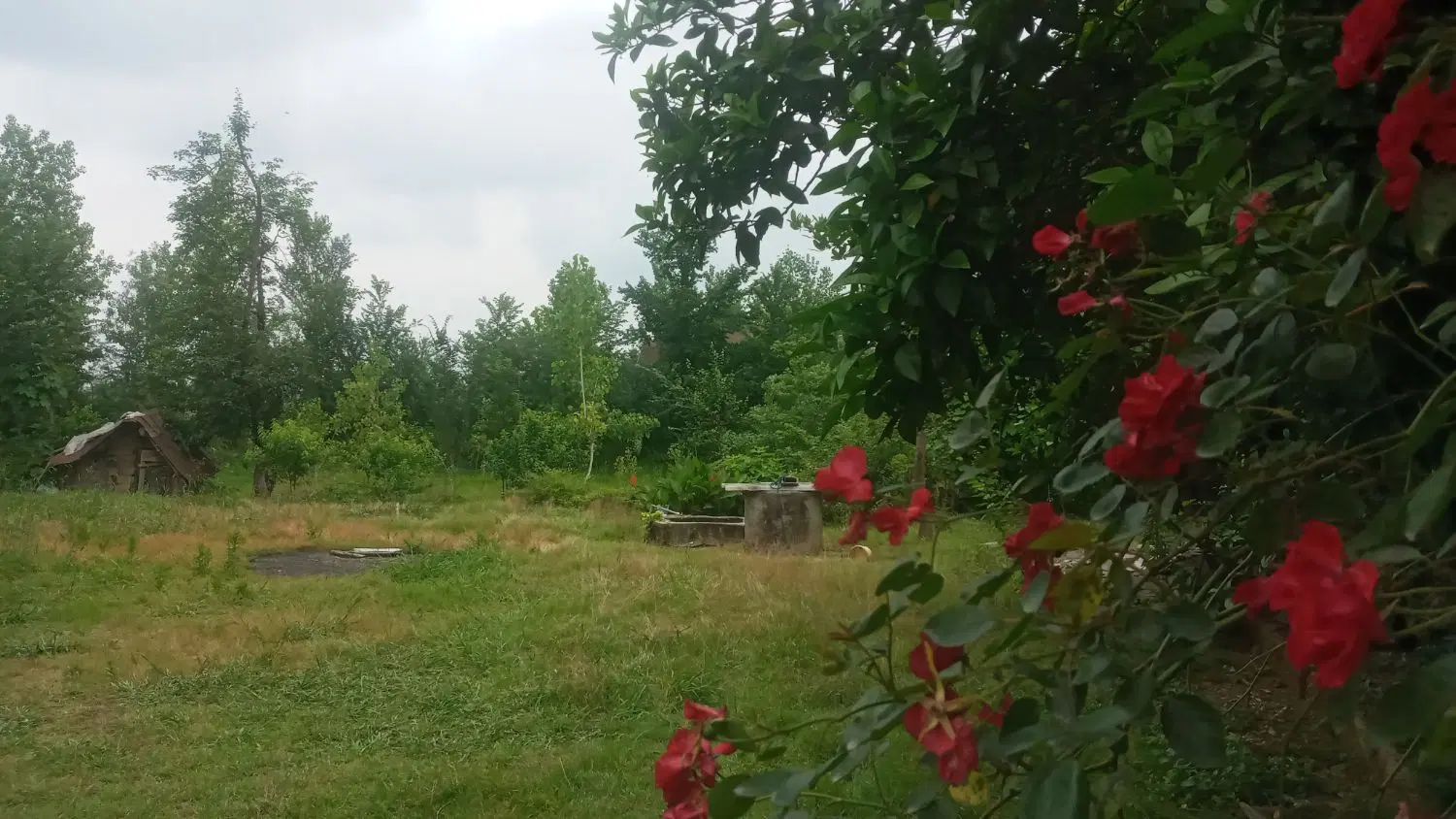 ویلا ۸۴۰متری