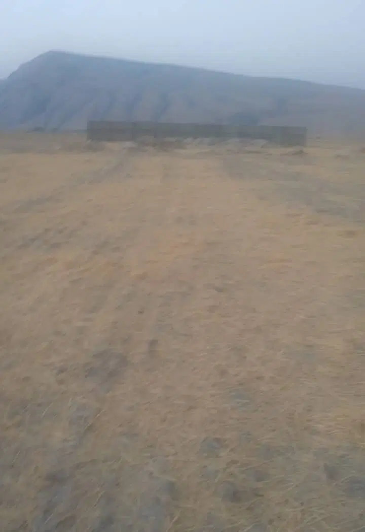 زمین