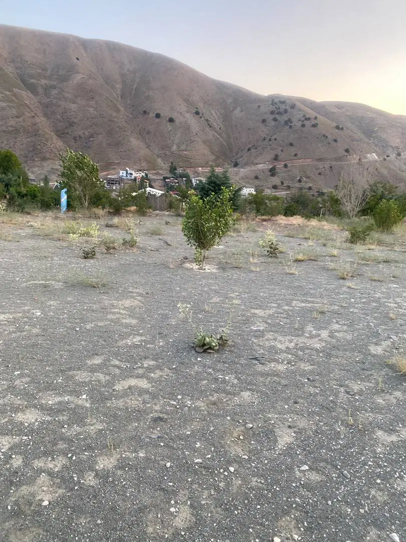 زمین 14 هکتار