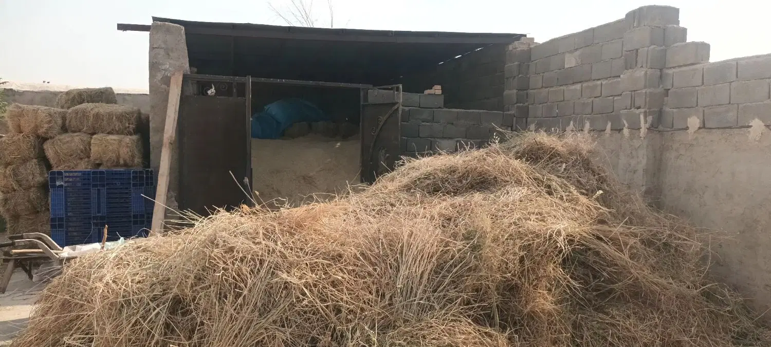 زمین خوبیه انباری خونه سیزن